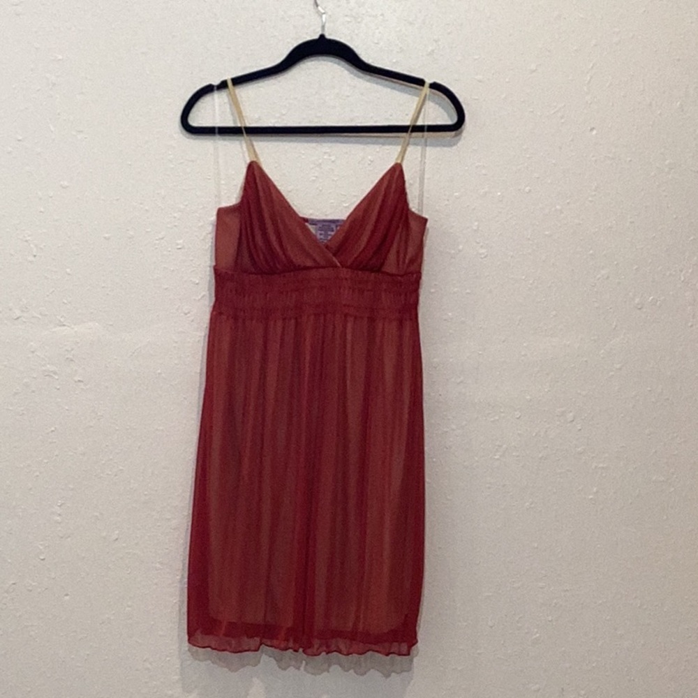 Elegant Red Sheer Dress